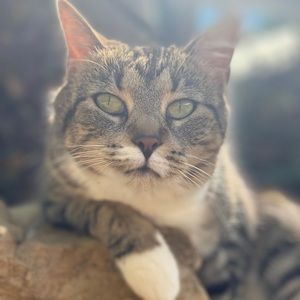 Meet your Posher, Mallory